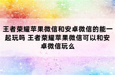 王者荣耀苹果微信和安卓微信的能一起玩吗 王者荣耀苹果微信可以和安卓微信玩么